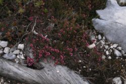 2011-04-24_Regina-F-Rau_Brunnstein-Spitze (274).JPG